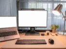 Essencial para o Seu Home Office: O Que Você Realmente Precisa
